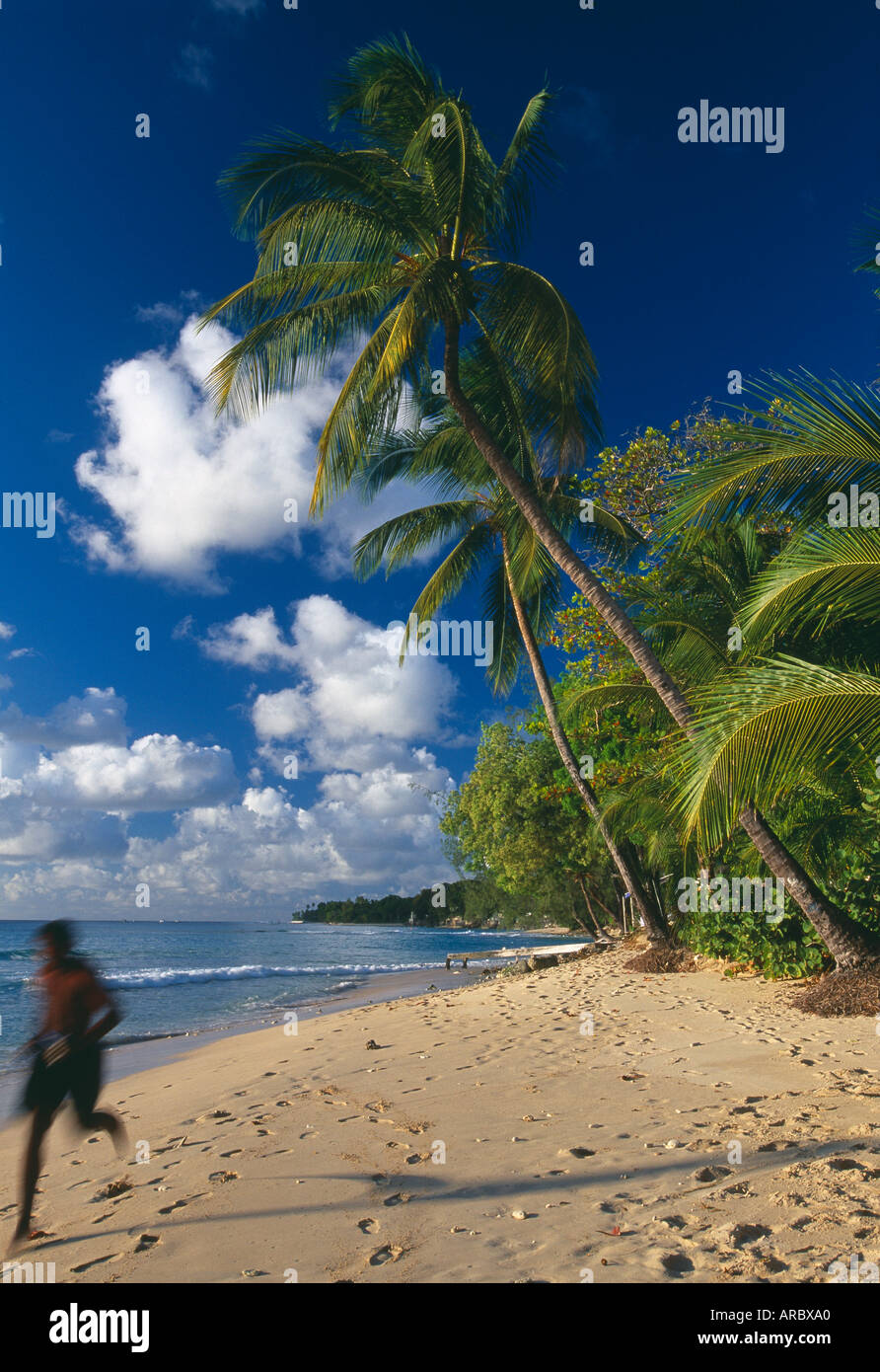 runner on the beach at Mullins Bay West Coast Barbados Stock Photo Alamy