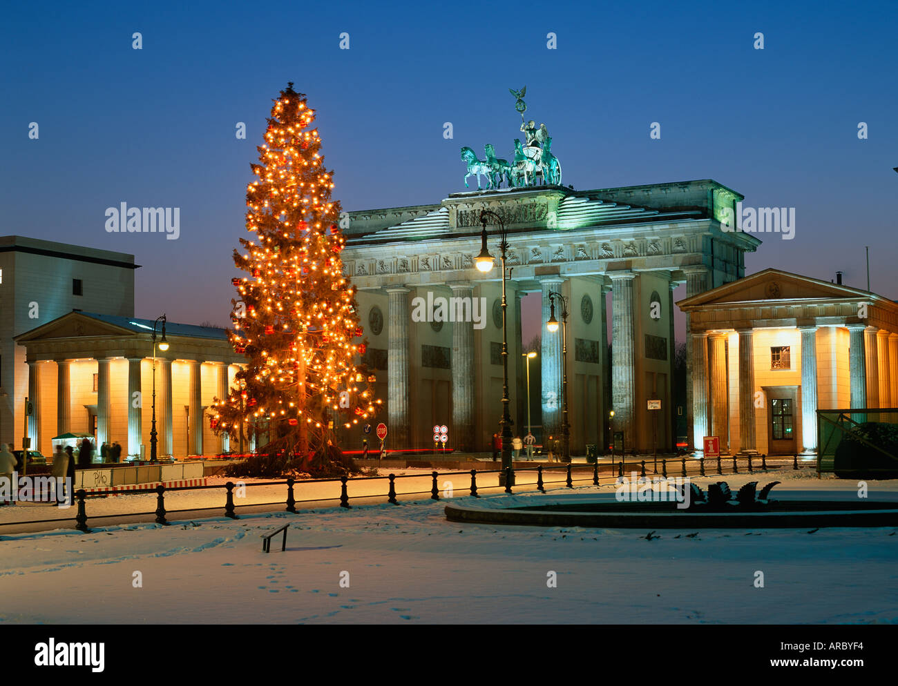 Berlin Christmas tree infront of the Brandenburg Gate Stock Photo Alamy