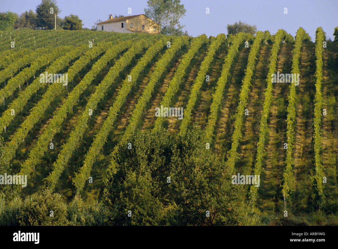 Landscape, St. Omero, Abruzzo, Italy, Europe Stock Photo