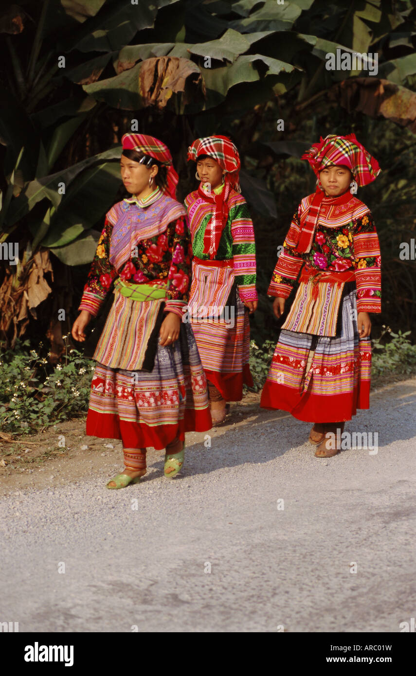 Group of three Flower Hmong women in traditional dress, south of Sapa,  North Vietnam, Vietnam, Indochina, Southeast Asia, Asia Stock Photo - Alamy