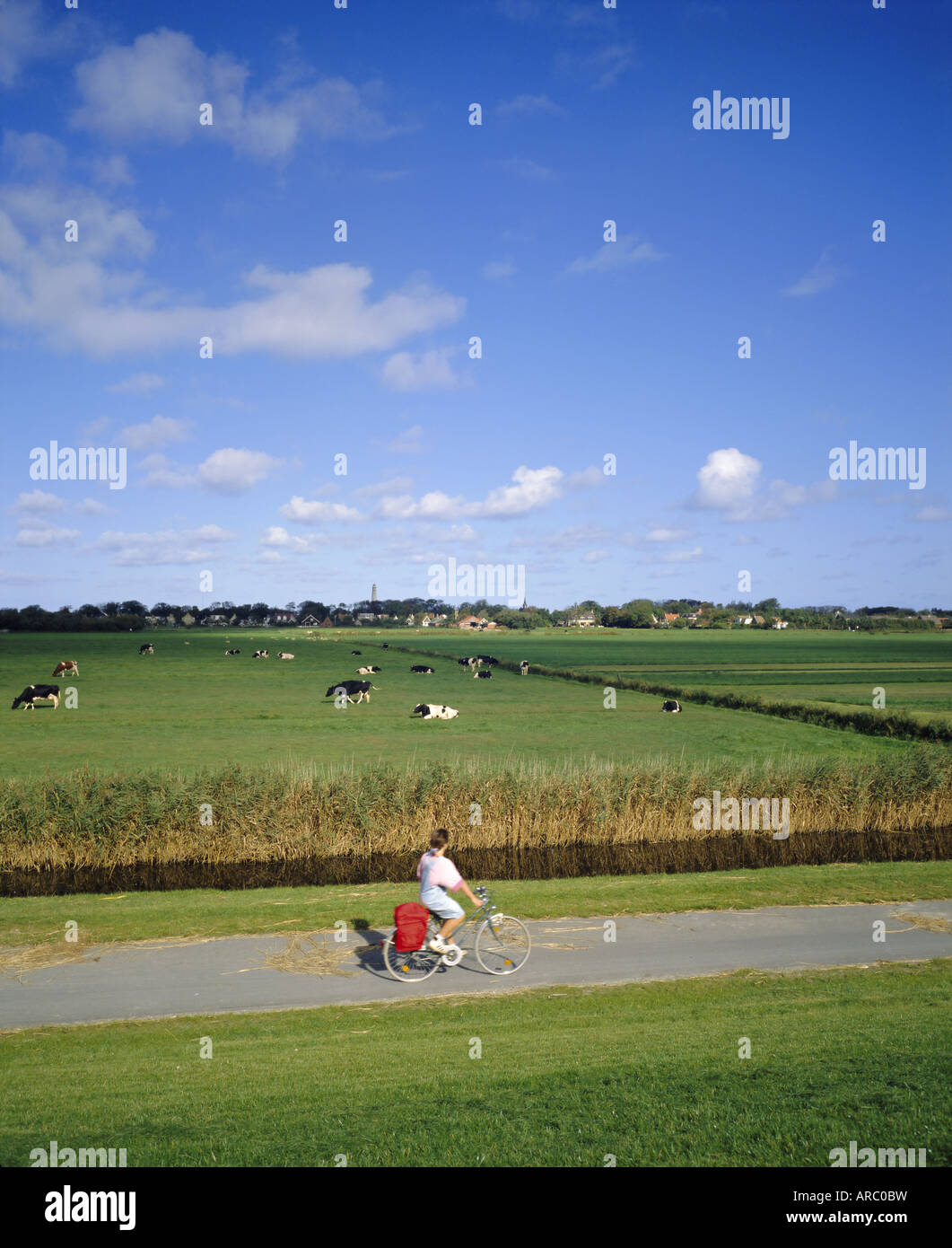 Cycling on the island of Schiermonnikoog, Friesland, Holland (The Netherlands), Europe Stock Photo