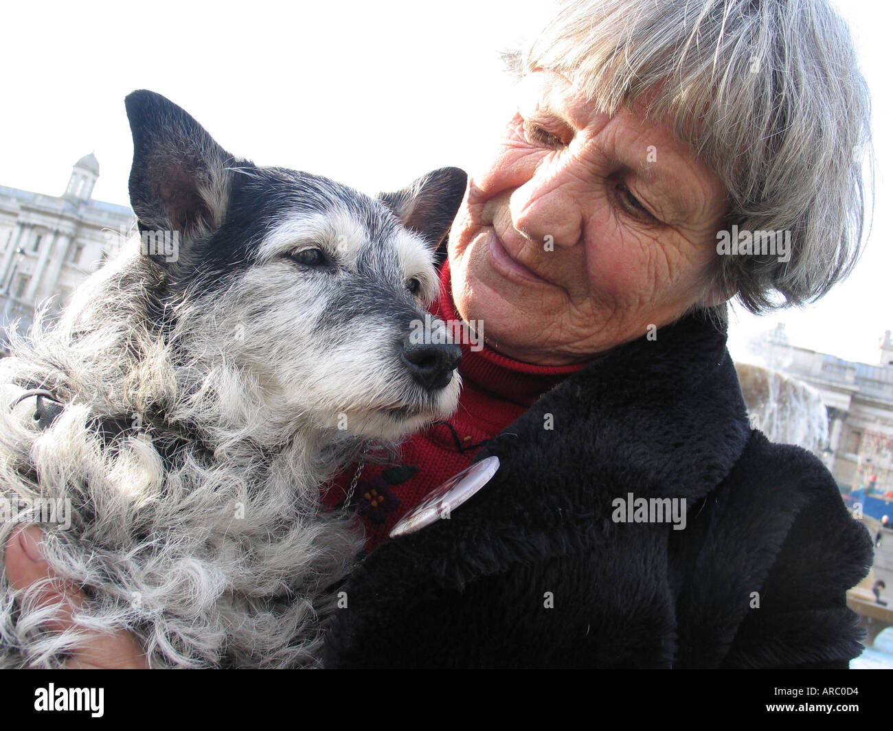 Old lady with dog uk hi-res stock photography and images - Alamy