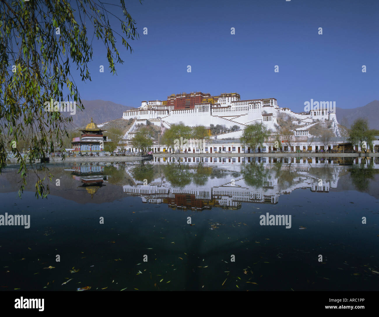 The Potala Palace, Lhasa, Tibet, China, Asia Stock Photo