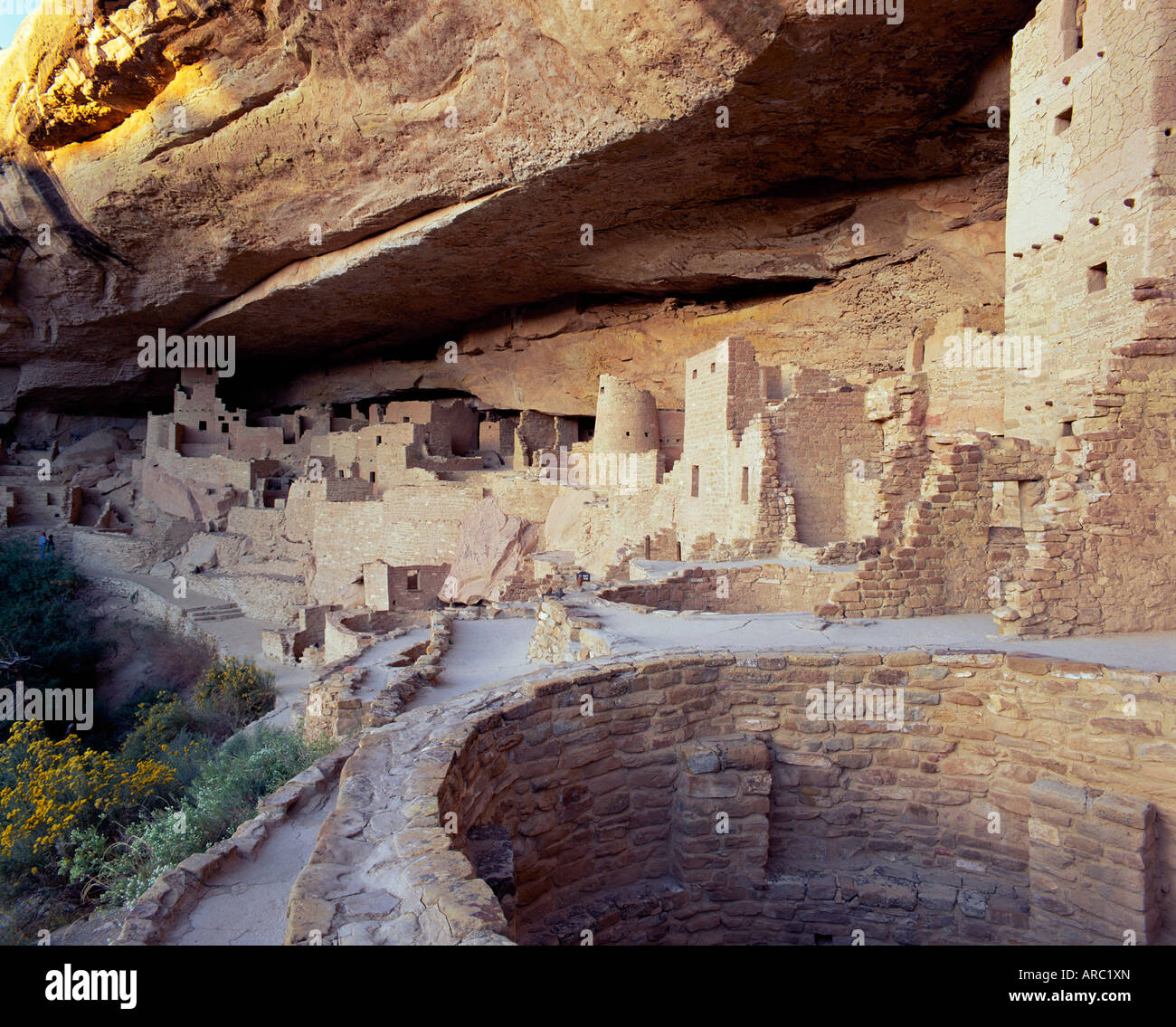 Old cliff dwellings and cliff palace in the Mesa Verde National Park, Colorado, USA Stock Photo