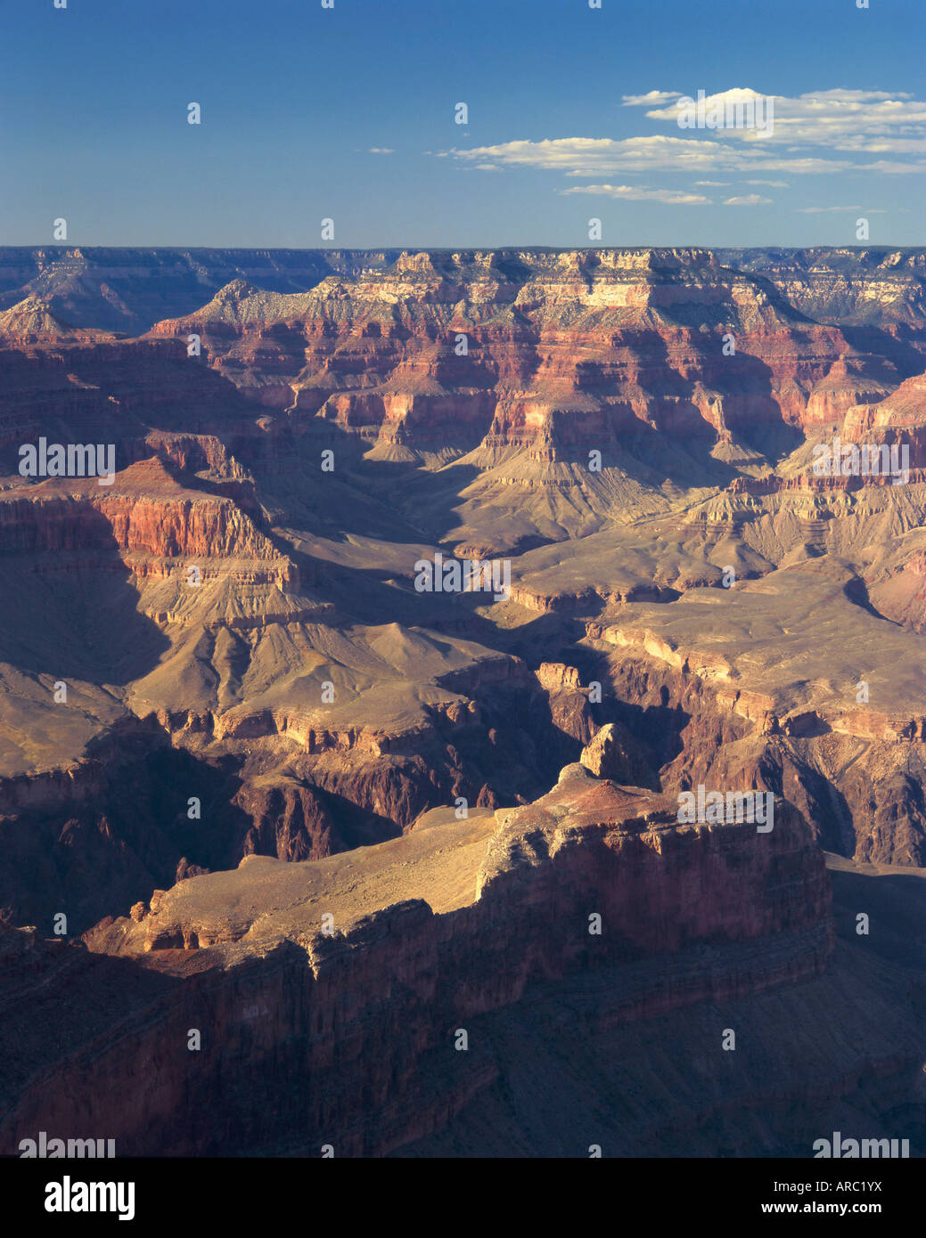 Grand Canyon, Arizona, USA, North America Stock Photo