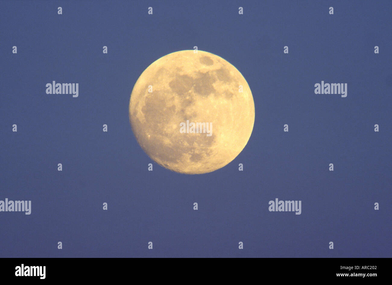 Moon in hi-res stock photography and images - Alamy