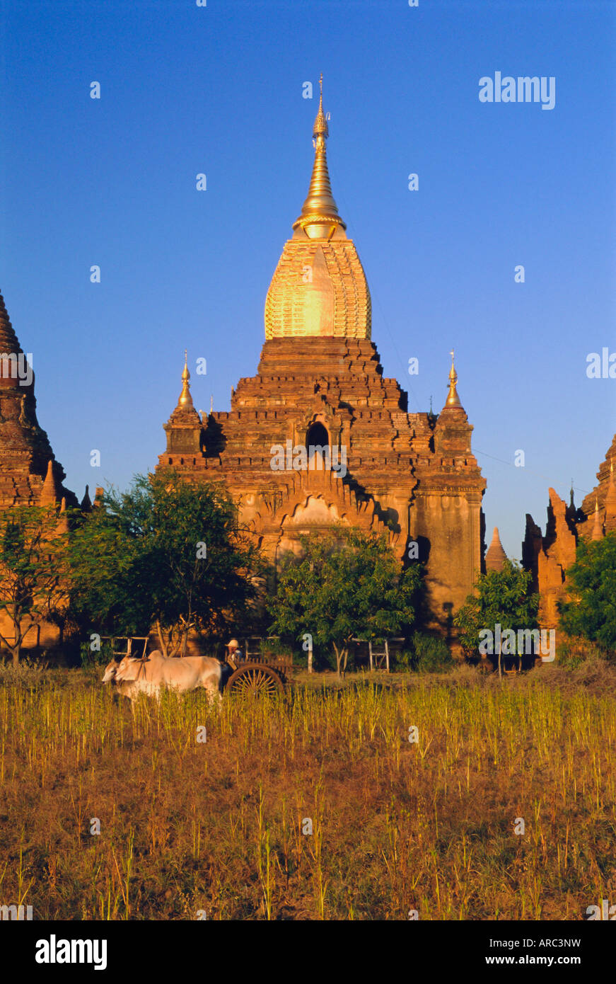 Gold gilded spire on ancient temple, old Bagan (Pagan), Myanmar (Burma) Stock Photo