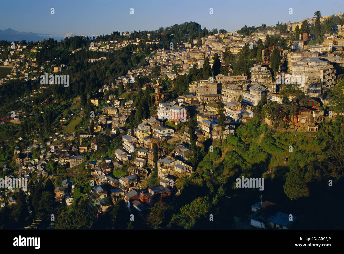 Gangtok in early morning light, Sikkim, India, Asia Stock Photo