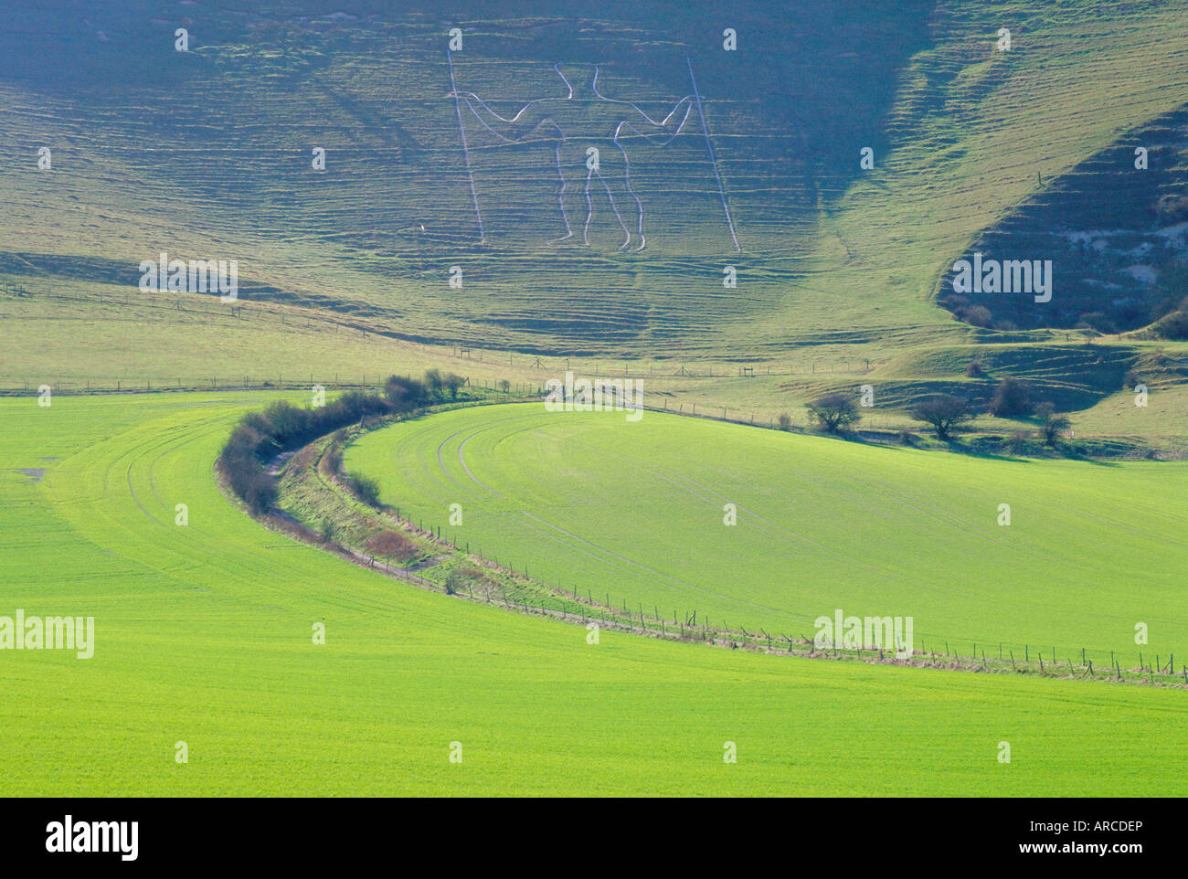 The Longman of Wilmington, East Sussex, England, UK Stock Photo Alamy