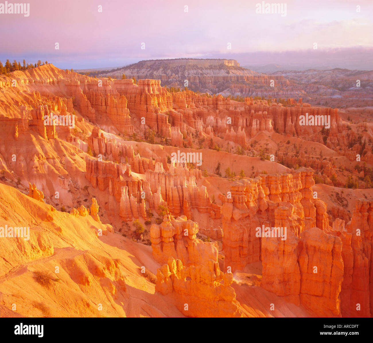 Sunrise, the Queen's Garden from Sunset Point, Bryce Canyon National Park, Utah, USA Stock Photo