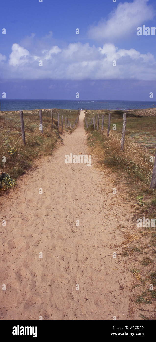 Pathway through the dunes between bretignolles sur mer and Brem leading to miles of golden sands Vendee France no 2400 Stock Photo