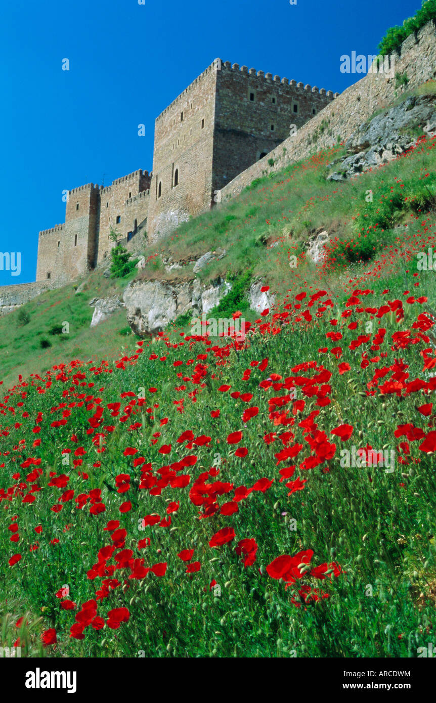 Poppies on hillside beneath the castle (now a Parador), Siguenza, Guadalajara, Castilla la Mancha, Spain, Europe Stock Photo