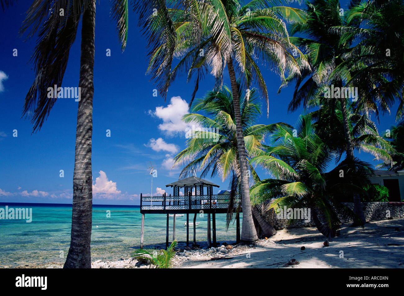 Waterside restaurant beneath palms, Old Man Bay, Grand Cayman, Cayman Islands, West Indies, Caribbean, Central America Stock Photo