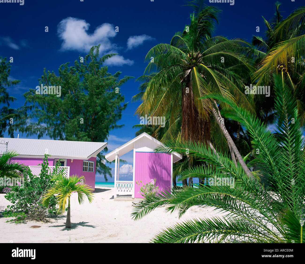 Colourful beach hut beneath palm trees, Rum Point, Grand Cayman, Cayman