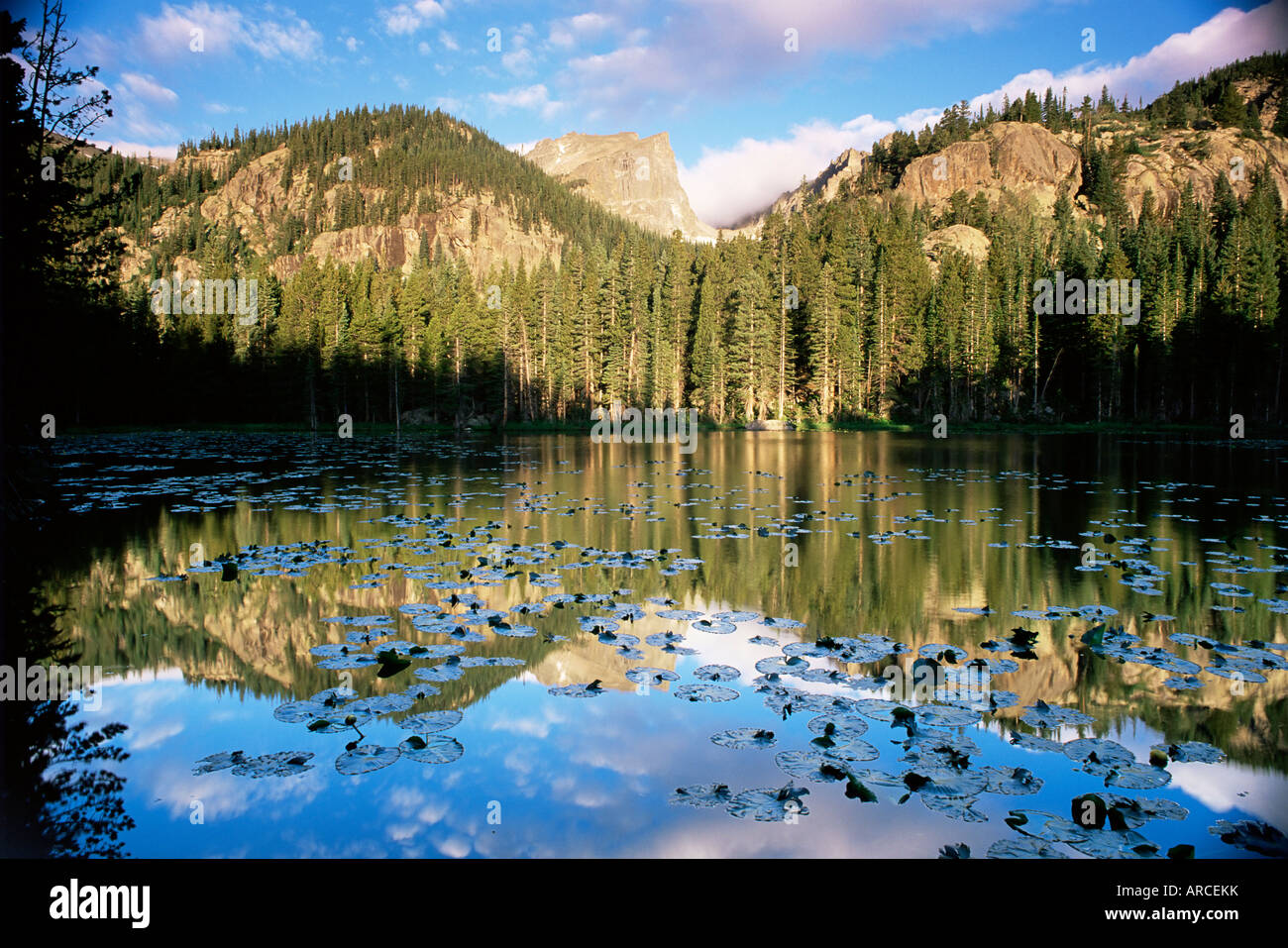 View across Nymph Lake at sunrise, with Hallett Peak above the trees, Rocky Mountain National Park, Colorado, USA, North America Stock Photo