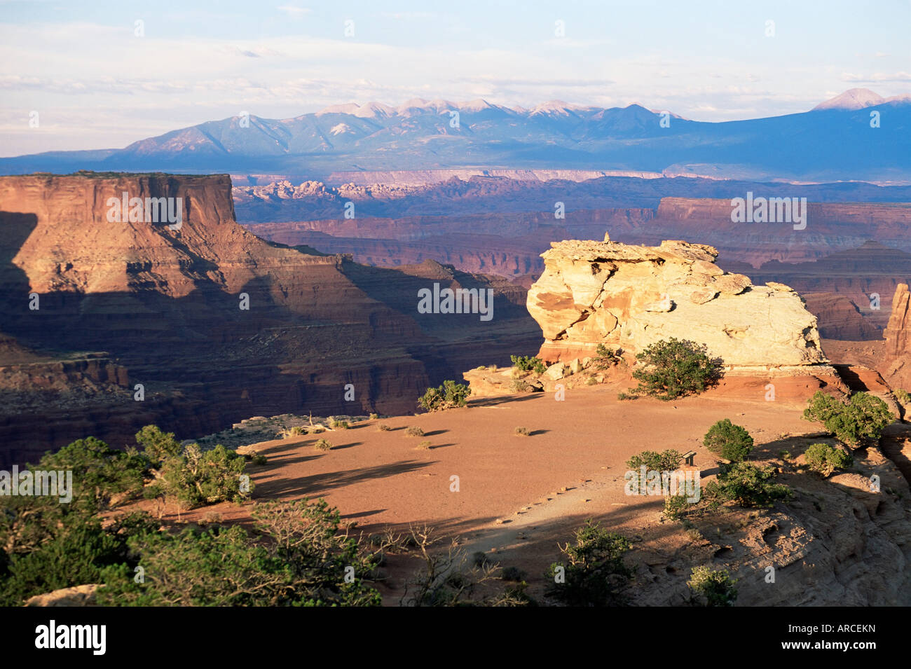 Island in the Sky, clifftop plateau below Shafer Canyon Overlook at sunset, Canyonlands National Park, Utah, USA, North America Stock Photo