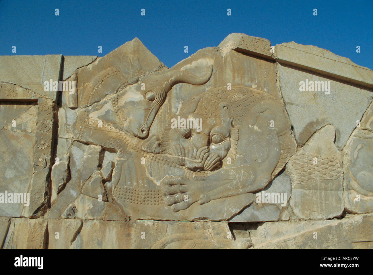 Carving of lion and bull on tripylon staircase, Persepolis, Iran, Middle East Stock Photo