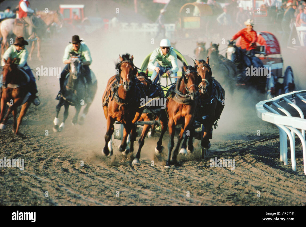 Chuck Wagon Race, Calgary Stampede, Alberta, Canada Stock Photo