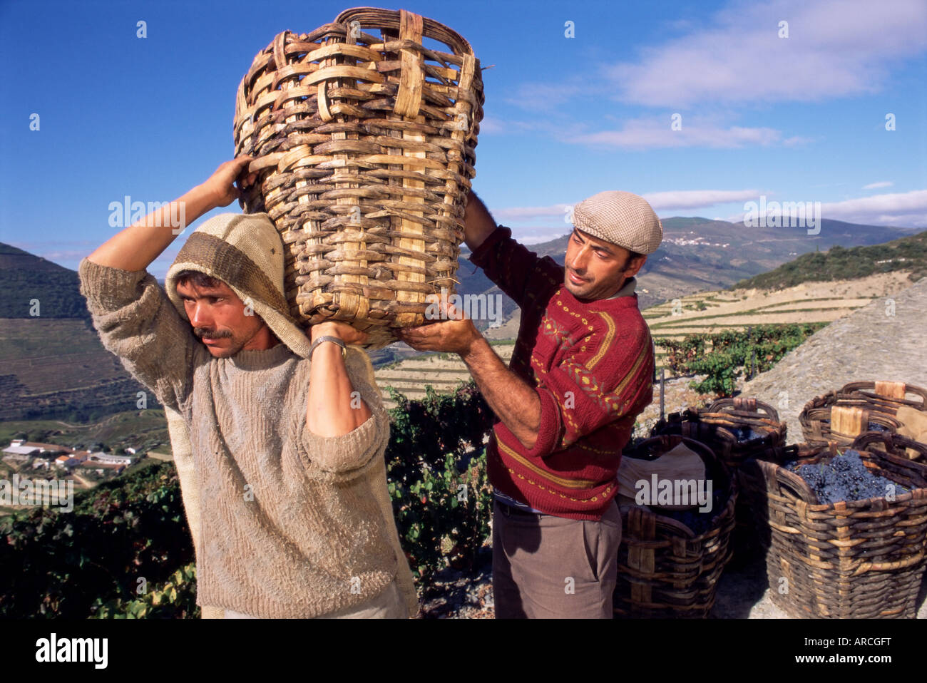 Grape pickers lifting baskets, Quinta do Bomfim, Douro, Portugal, Europe Stock Photo