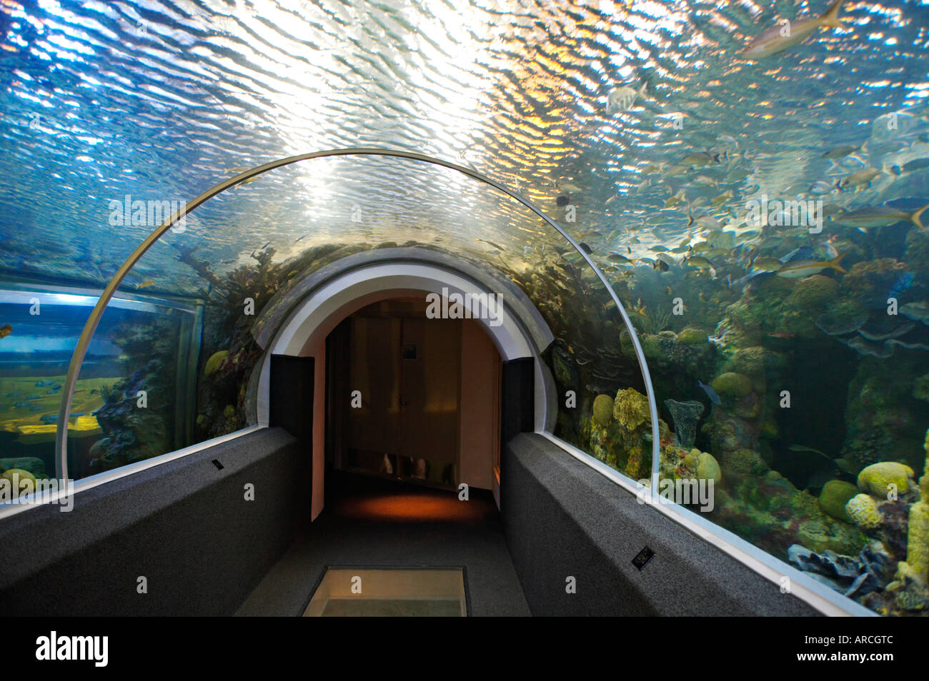 WISCONSIN Milwaukee Aquatarium exhibits at Discovery World museum at