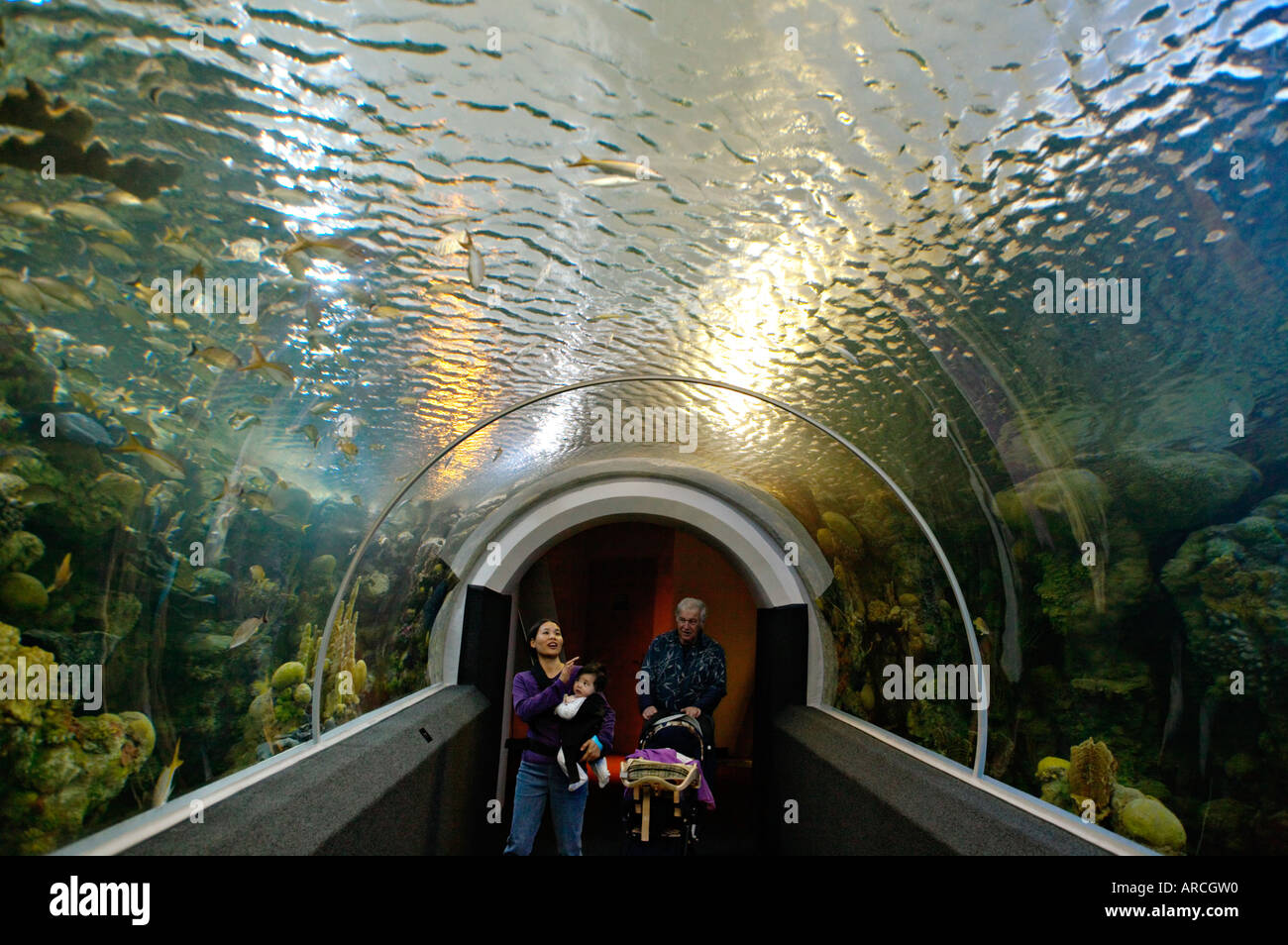 WISCONSIN Milwaukee Aquatarium exhibits at Discovery World museum at