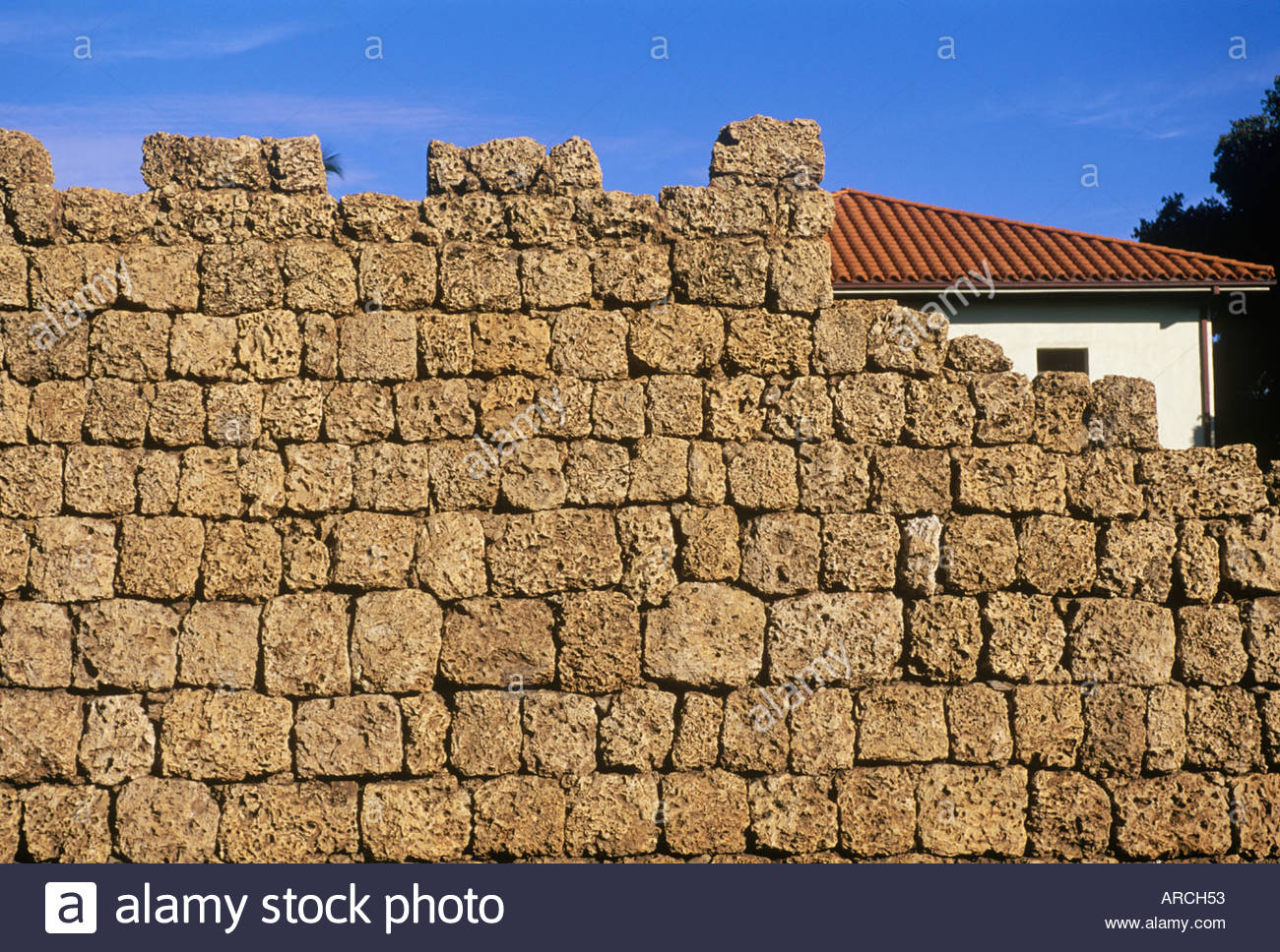 Coral Blocks High Resolution Stock Photography and Images Alamy