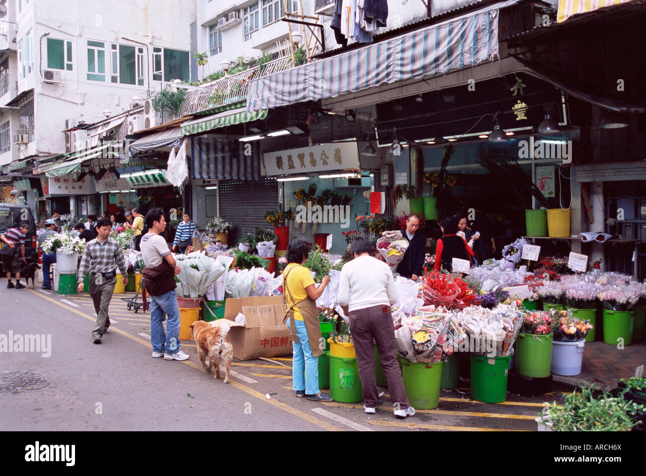 Flower market, Mong Kok, Kowloon, Hong Kong, China, Asia Stock Photo Alamy