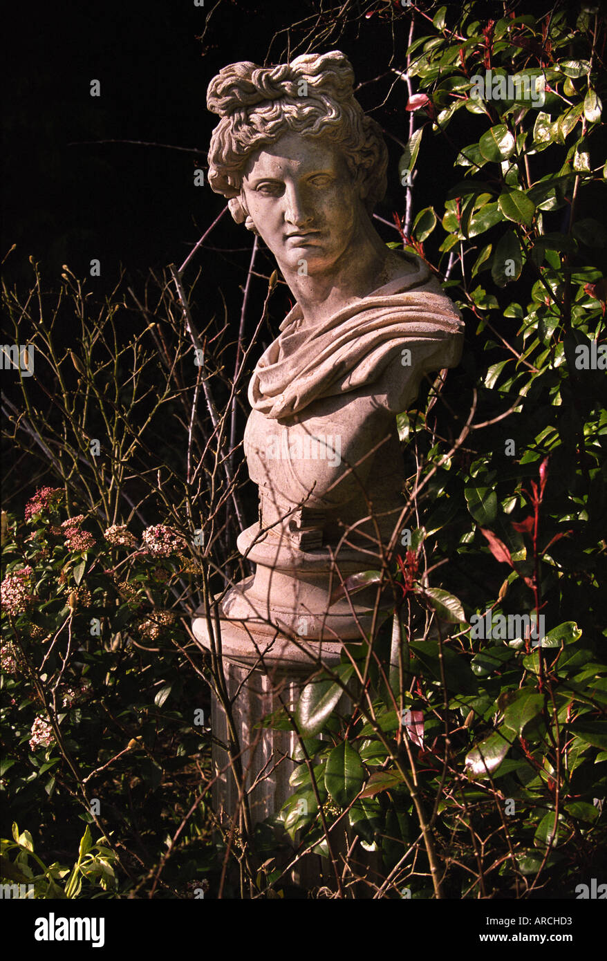 A CLASSICAL GARDEN STATUE GLOUCESTERSHIRE UK Stock Photo - Alamy