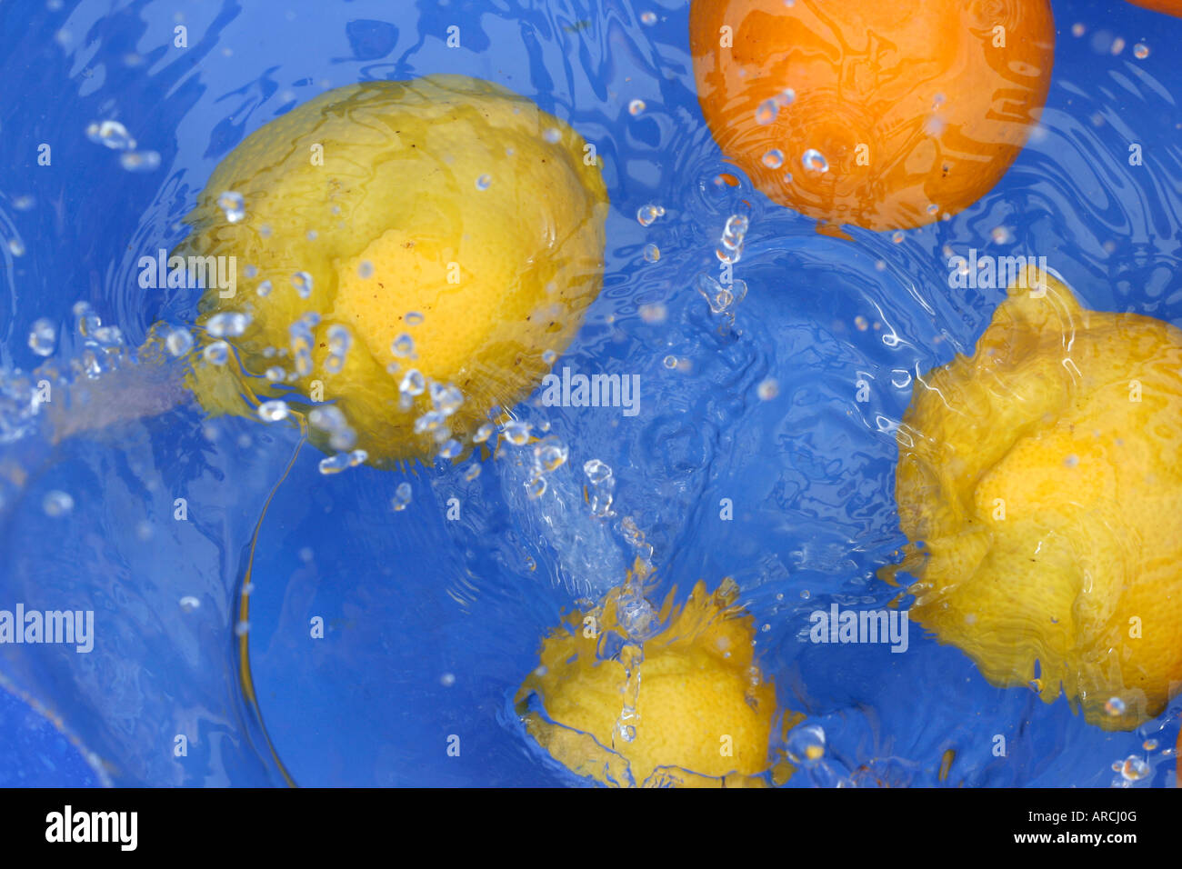 Oranges and lemons in water Stock Photo Alamy