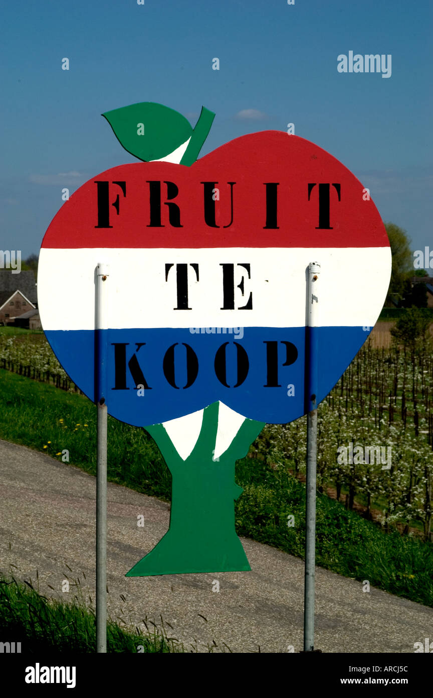 Farm Fruit for sale Netherlands Holland farmer Stock Photo - Alamy
