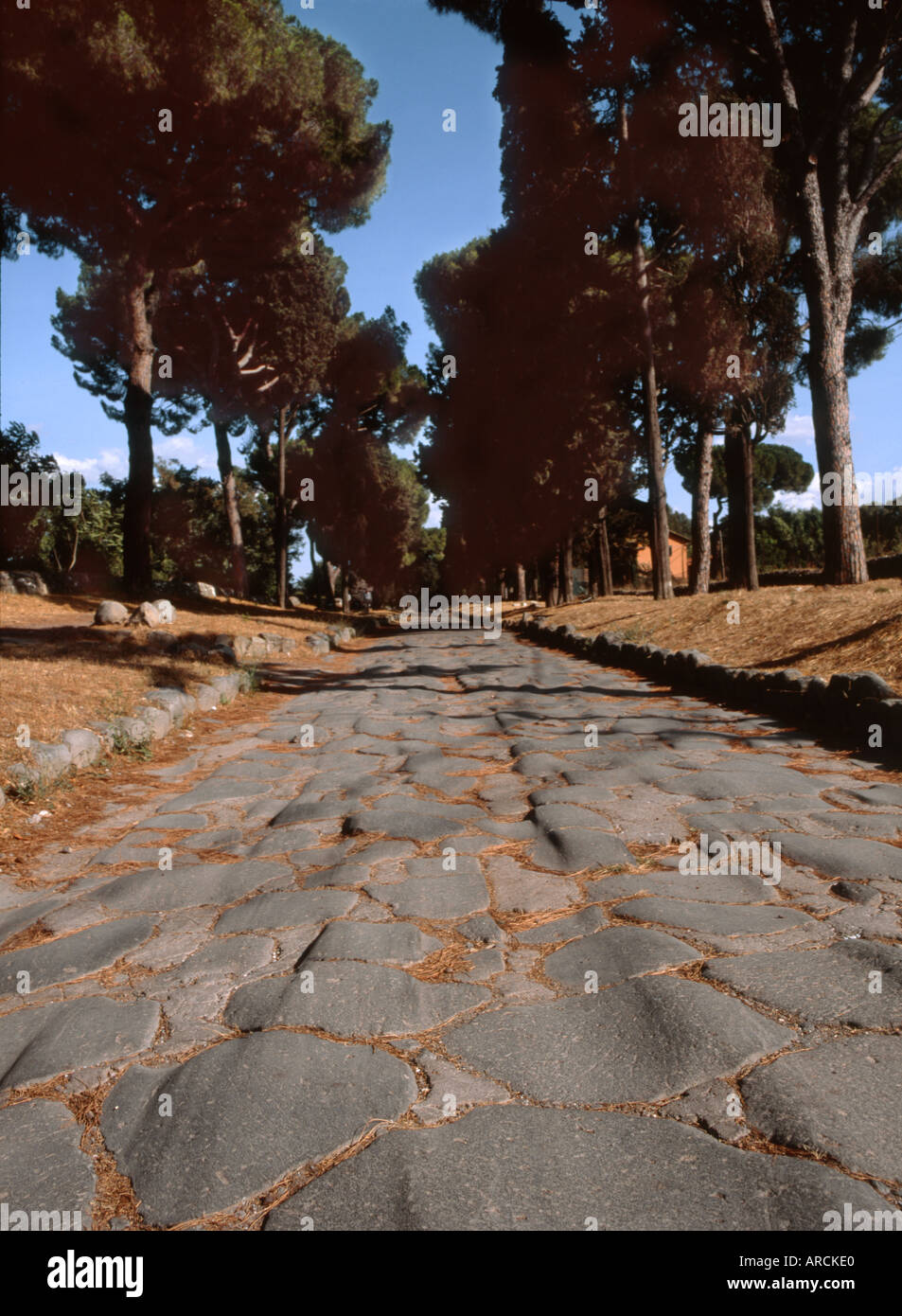 Rome, Lazio, Italy. Via Appia or Appian Way between third and fourth milestones, showing original ancient stones Stock Photo