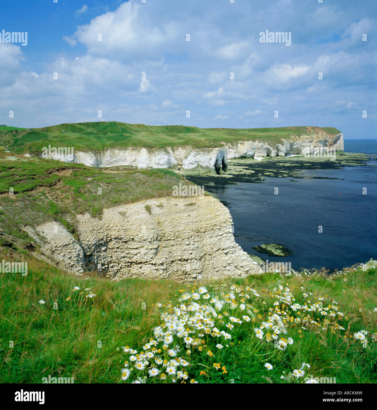 Humberside uk hi-res stock photography and images - Alamy