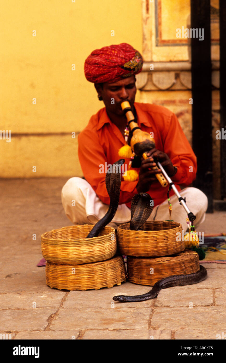 Snake charmer cobra in basket hires stock photography and images Alamy
