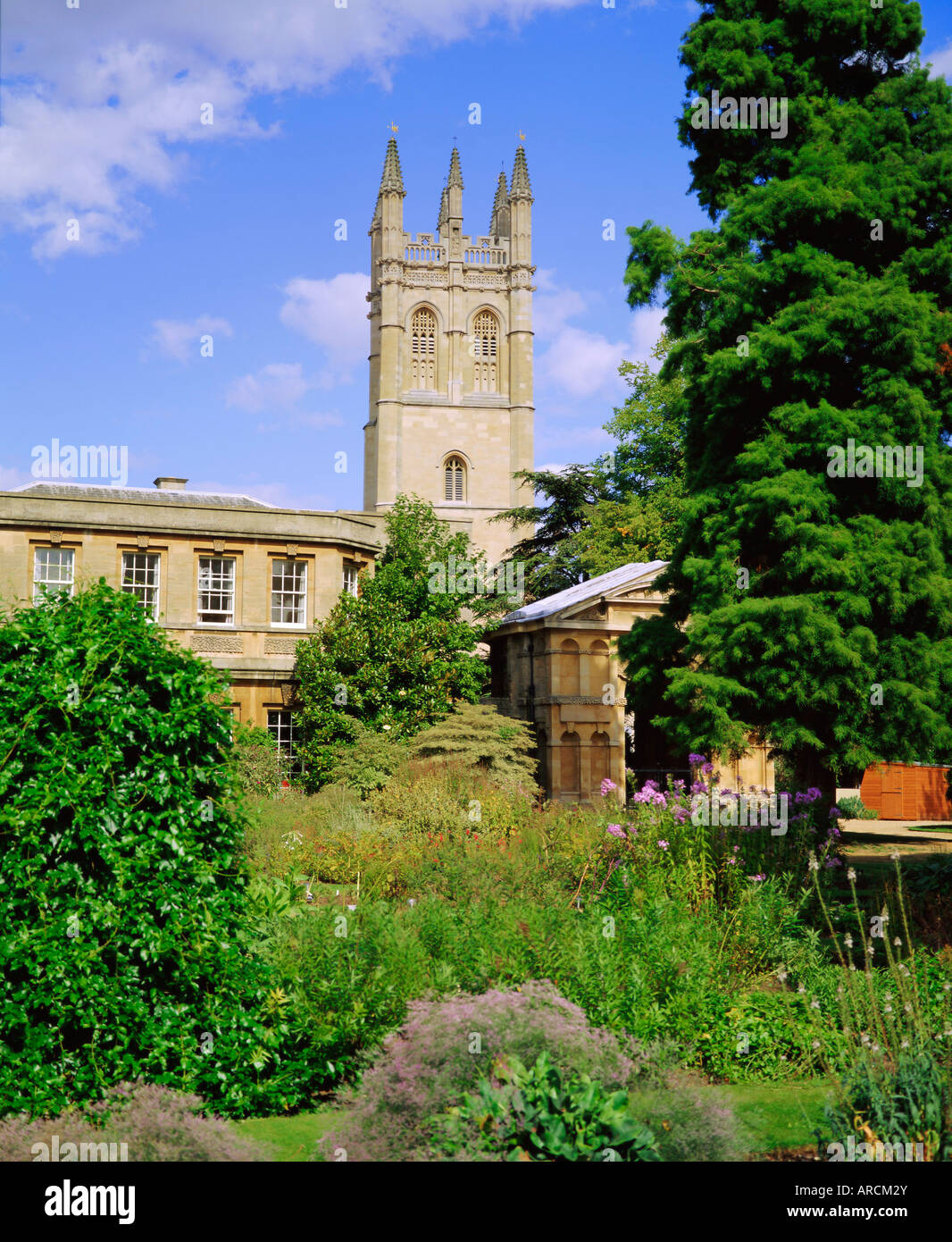 Magdalen College from Botanic Garden, Oxford, Oxfordshire, England, UK Stock Photo