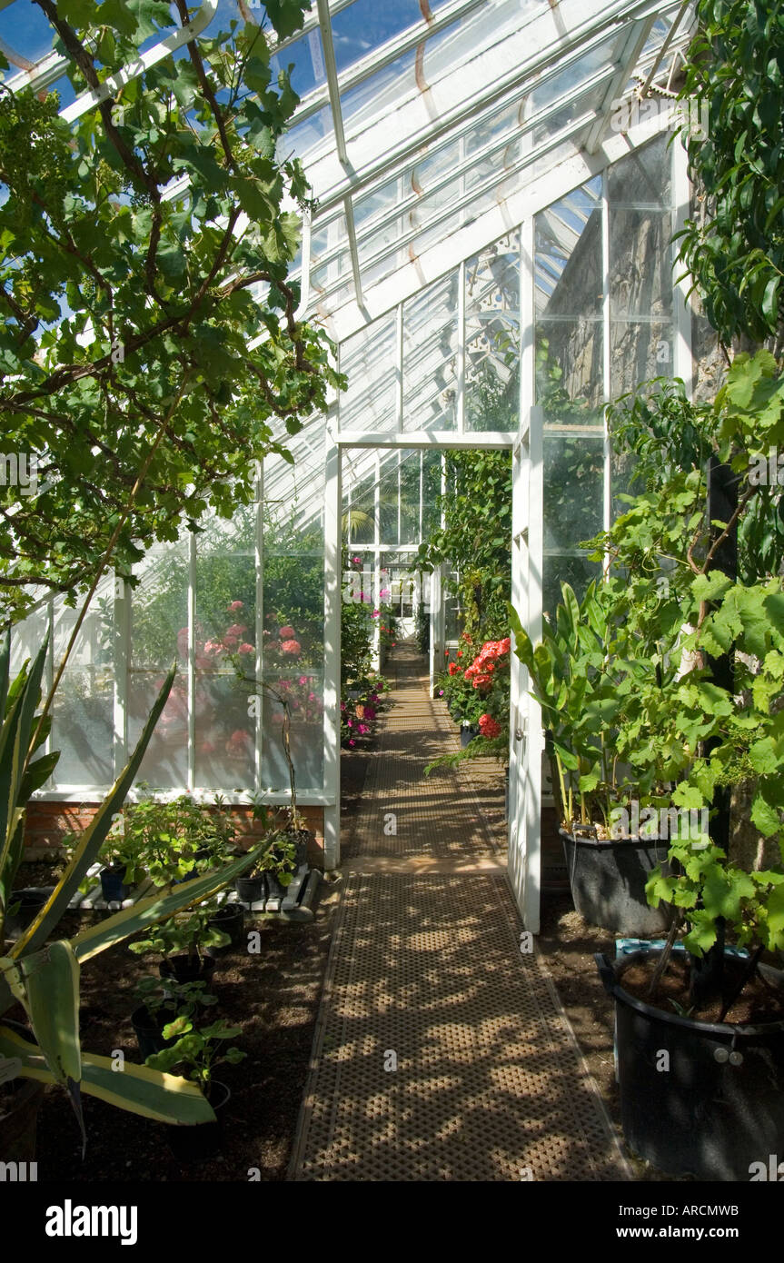 Victorian greenhouse hi-res stock photography and images - Alamy