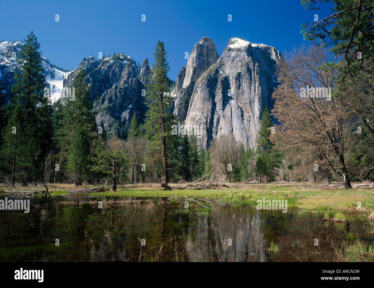 Trees reflecting lake day hi-res stock photography and images - Alamy