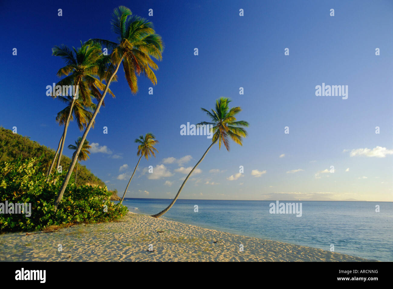 Darkwood Beach, Antigua, Caribbean, West Indies Stock Photo