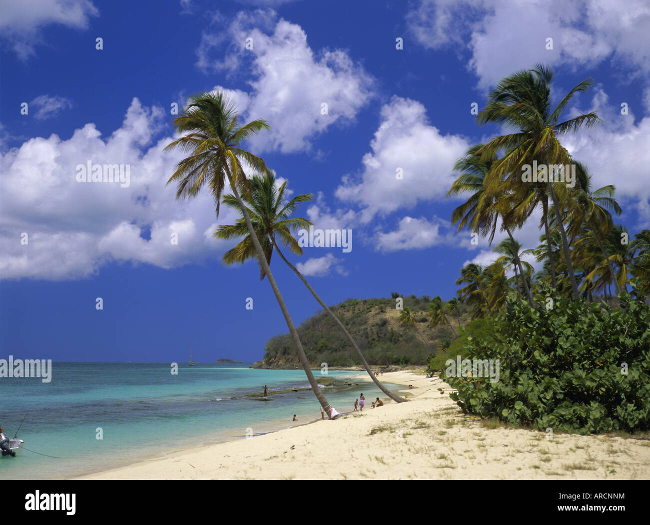 Darkwood Beach, Antigua, Leeward Islands, Caribbean, West Indies, Central America Stock Photo