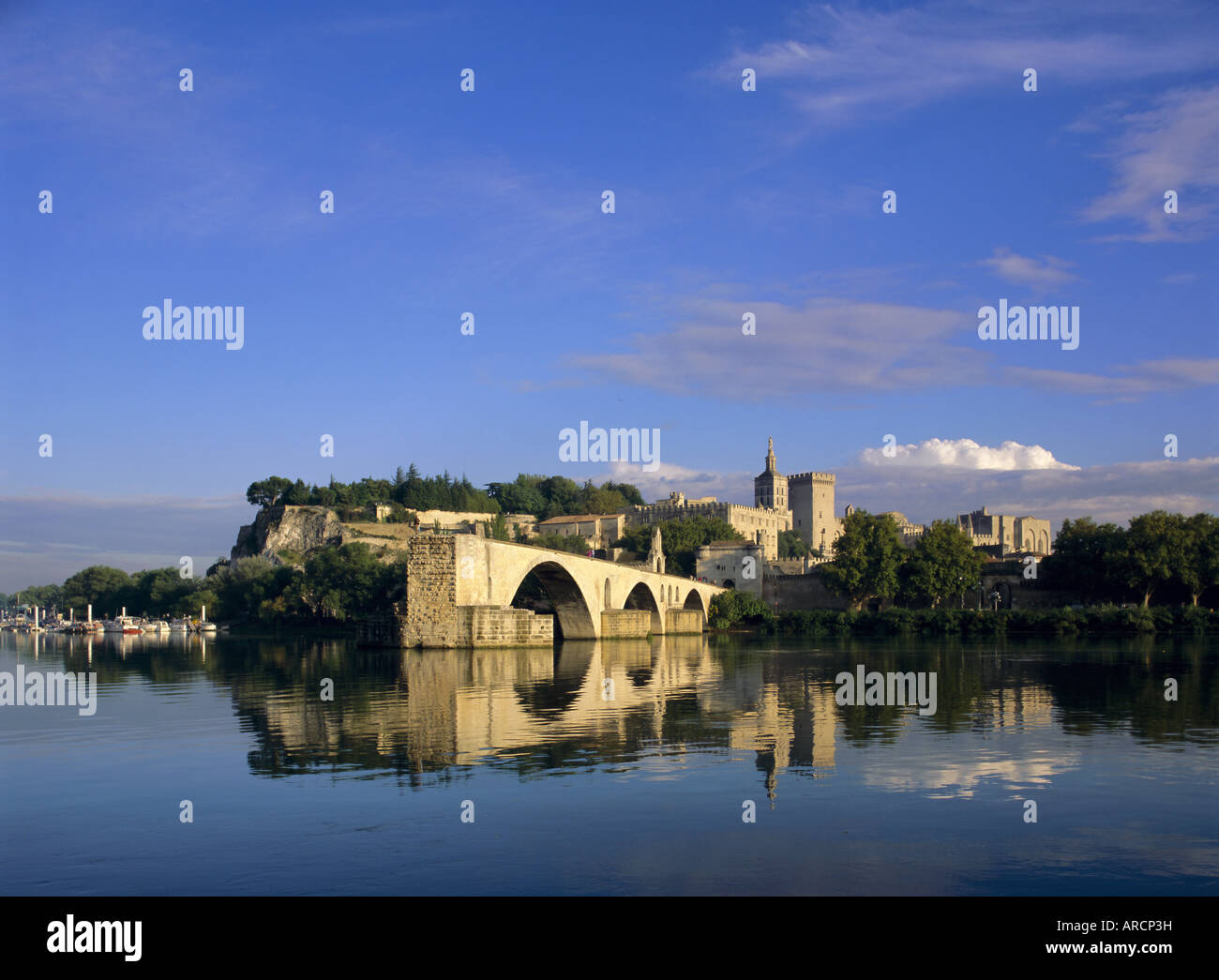 River Rhone, bridge and Papal Palace, Avignon, Provence, France, Europe Stock Photo