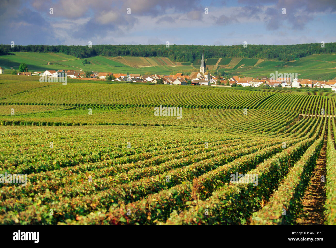 Chamery, Montagne de Reims, Champagne, France, Europe Stock Photo
