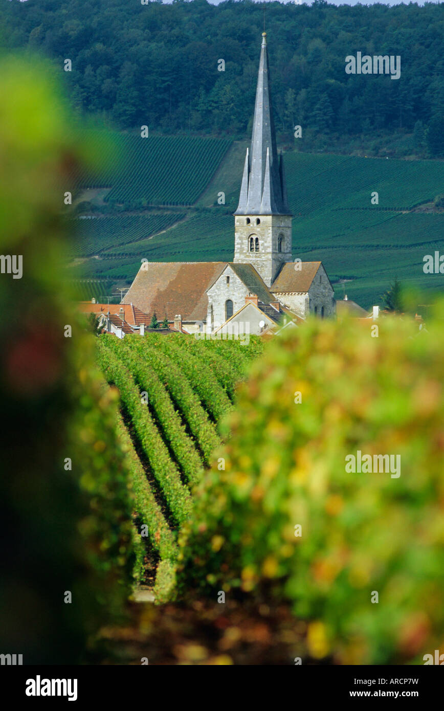 Chamery, Montagne de Reims, Champagne, France, Europe Stock Photo