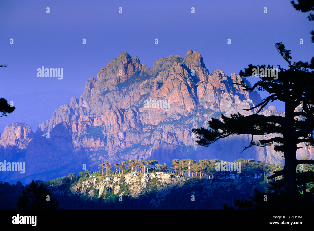 Col du Bavella, Corsica, France Stock Photo