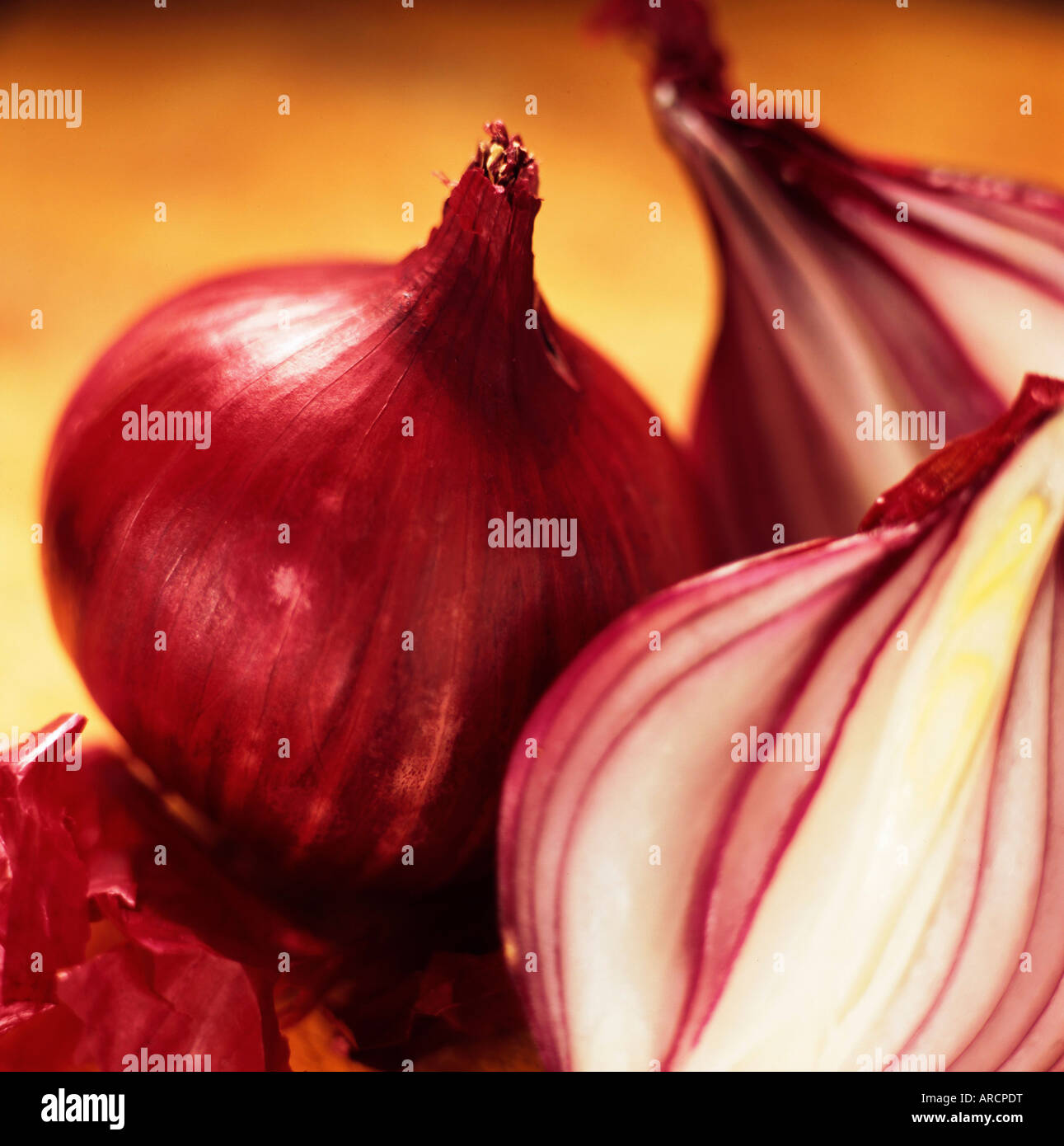 Studio shot of red onions Stock Photo
