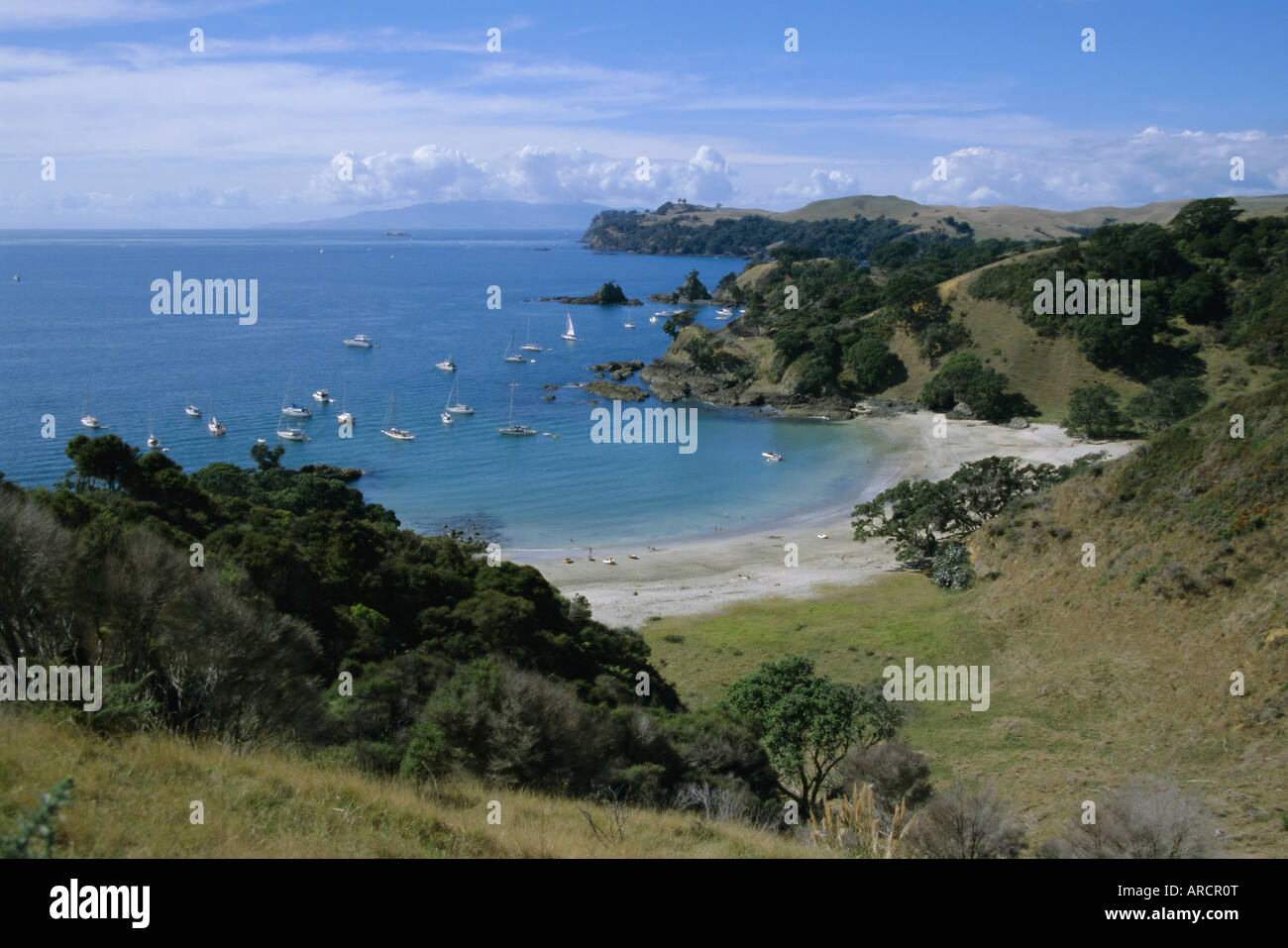 Boats at anchorage, Waiheke Island, Central Auckland, North Island, New