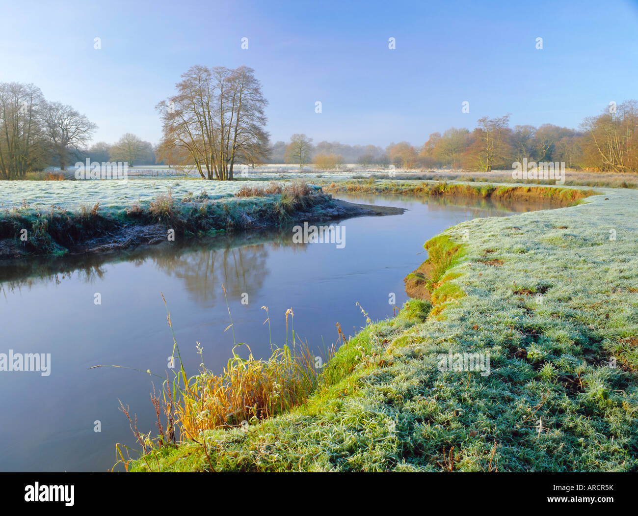 Trusts Hi res Stock Photography And Images Alamy trusts-hi-res-stock-photography-and-images-alamy