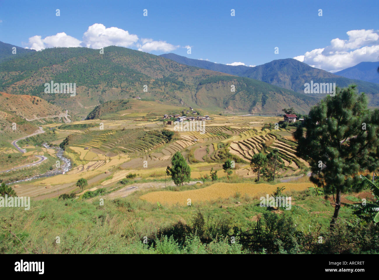 Terraces on hillsides, Thimpu, Bhutan Stock Photo