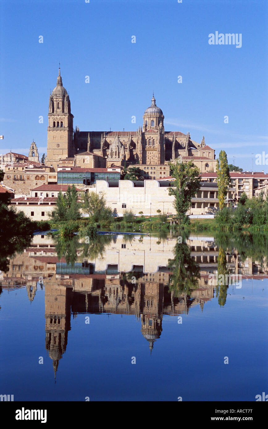 The Old and New Cathedrals, reflected in the water of the Rio Tormes (Tormes River), Salamanca, Castilla Leon (Castile), Spain Stock Photo