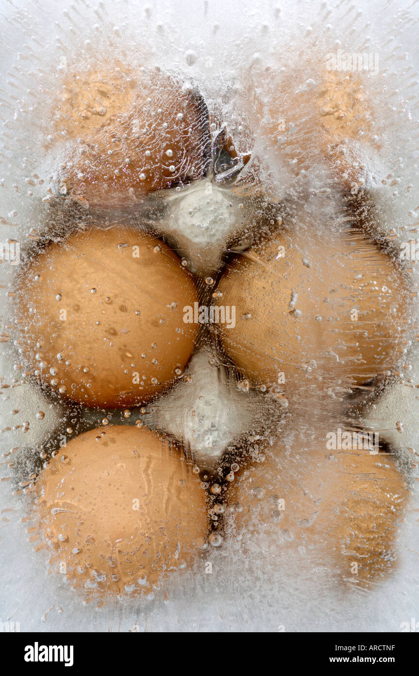 Freeze eggs ivf hires stock photography and images Alamy