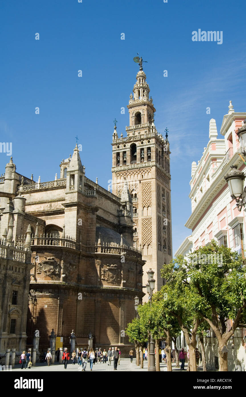 Full view cathedral seville hi-res stock photography and images - Alamy