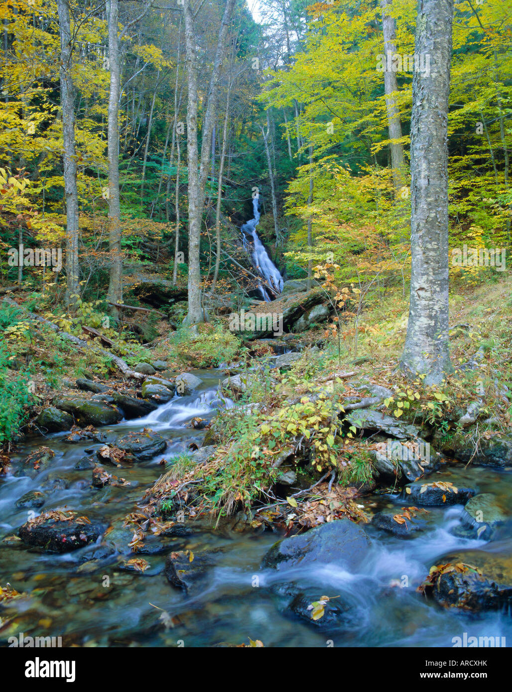 Moss Glen Falls, Green Mountain National Forest, Vermont, USA Stock Photo